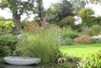 a beautiful garden with a birdbath in the foreground