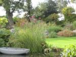 a beautiful garden with a birdbath in the foreground
