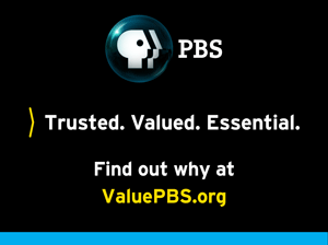 PBS logo on banner saying find out more at valuepbs.org