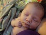 Baby Clementine, daughter of Rebecca Butler and Tom Sheehan of Champaign.