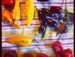 An array of hot peppers on a towel.