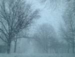 snowfall in Champaign