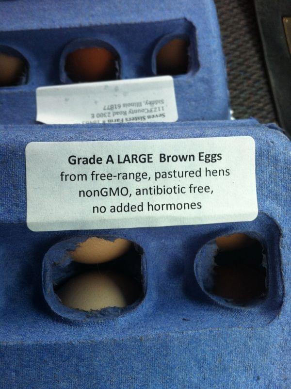 A photo of a carton of eggs