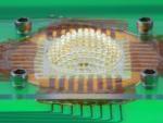 An insect's eye lets it see really well because each of its light-sensitive cells has a dedicated lens. This miniature camera, which mimics an insect eye, is made from an array of microlenses arranged on a stretchable sheet that can be inflated 