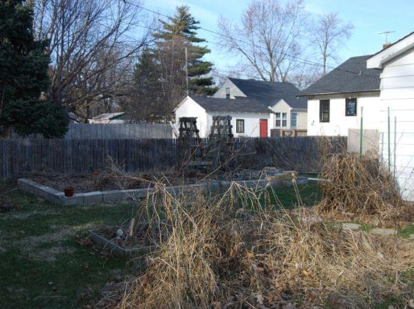 A very messy early spring garden