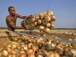 migrant worker