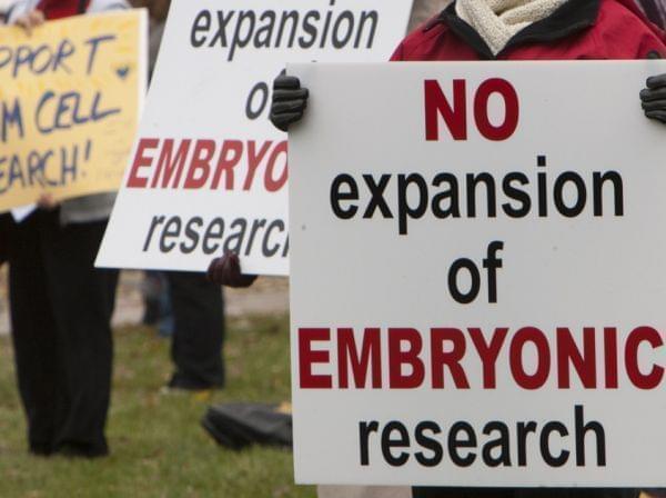 stem cell right to life protest