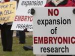 stem cell right to life protest