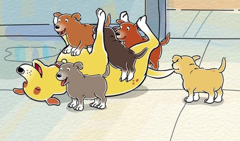 Puppies playing