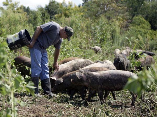 farmer