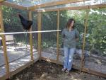 This photo taken Aug. 21, 2009 shows Barbara Palermo looking on while making remarks in her chicken coop in Salem, Ore.