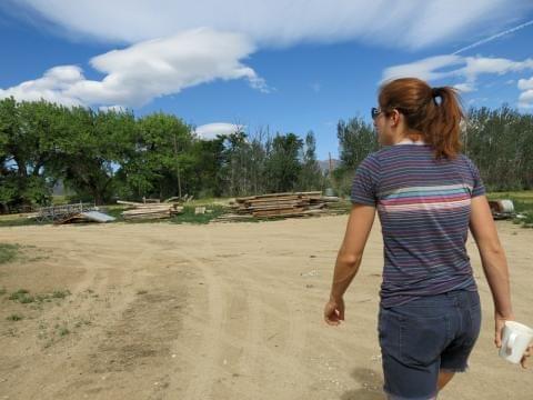 Eva Teague is trying to start her own pig farm but is having trouble breaking in to the business.