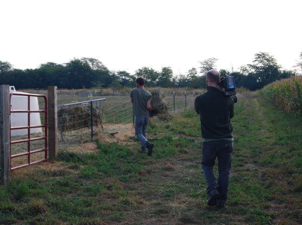 A man with a camera filming a man feeding goats