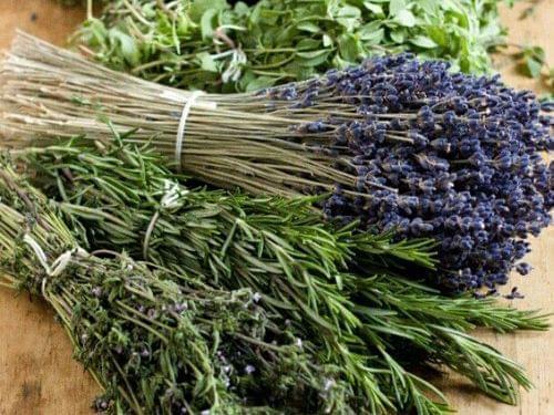 Rosemary and other bundled herbs