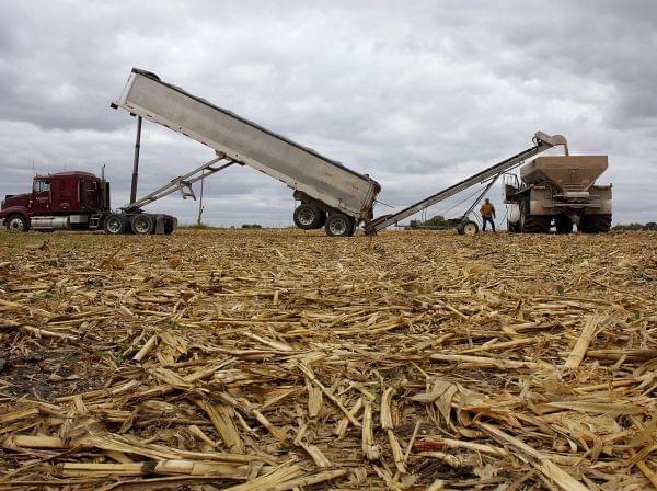 Central Illinois farmer Tom Humphrey moves fertilizer from a transport truck to a field spreader on a freshly harvested corn field in Chatham, Ill., Monday, Oct 27, 2008.