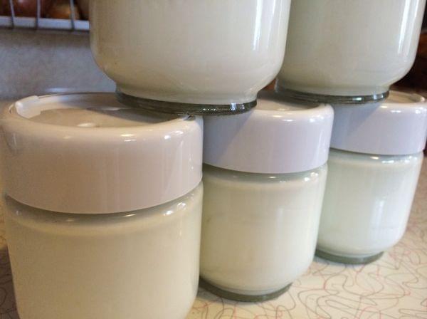 Several jars of homemade yogurt on a counter