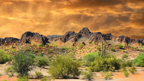 An atmospheric desert landscape