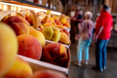 Customers shop for sweet peaches on July 13 at Flamm Orchards in Cobden, Ill.
