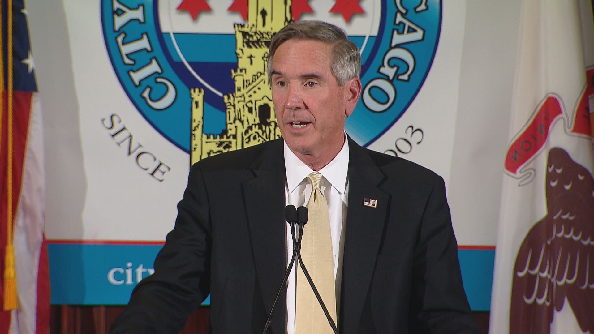 Tim Schneider, Illinois Republican Party Chairman