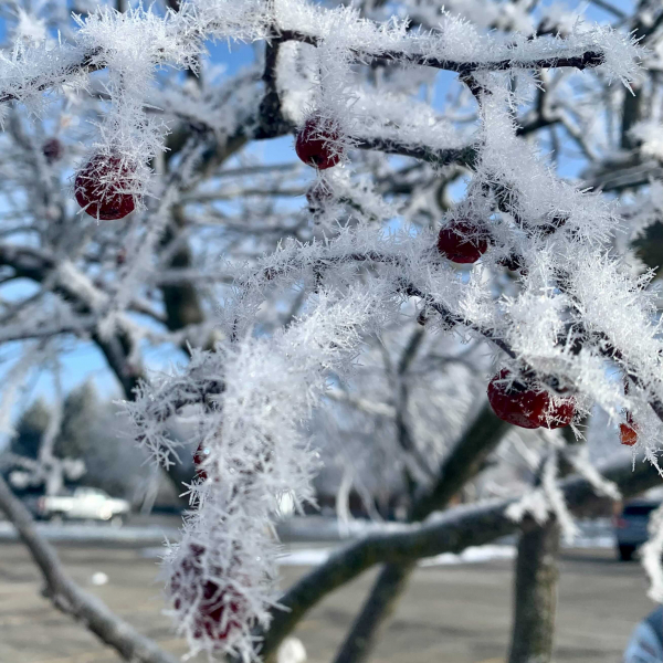 Yes You Can Enjoy Winter In Illinois The 21st Show Illinois Public