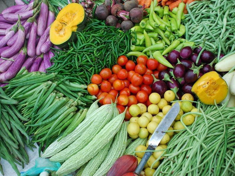 beautifully arranged variety of vegetables