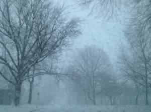 snowfall in Champaign