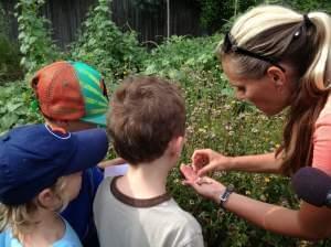 A woman showing young children how to harvest flower seeds