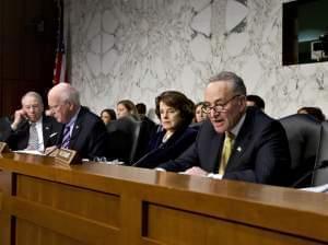 Sen. Chuck Schumer during the immigration hearing