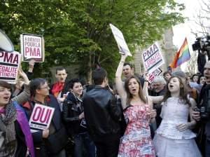 Pro gay marriage activists celebrate after French lawmakers legalized same-sex marriage, Tuesday, April 23, 2013 in Paris. 