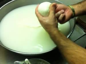 A man demonstrating cheesemaking
