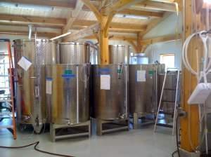 Large vats filled with vine in a vineyard warehouse