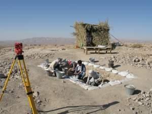 The seeds and other evidence of Stone Age farming, including tools that looked like sickles, were uncovered at a dig site in the foothills of Iran's Zagros mountains.