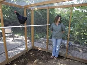 This photo taken Aug. 21, 2009 shows Barbara Palermo looking on while making remarks in her chicken coop in Salem, Ore. 