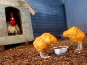 Chicken Nuggets, from artist Banksy's 2008 installation "The Village Pet Store and Charcoal Grill" in New York City.