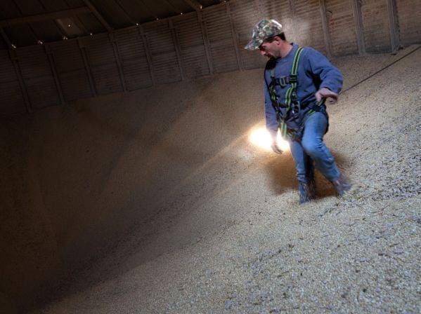 Grain Operator Austin Clubb surveys corn inside the Homestead Grain Facility at Amana Farms near Cedar Rapids, Iowa.