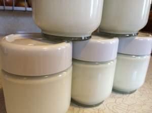 Several jars of homemade yogurt on a counter
