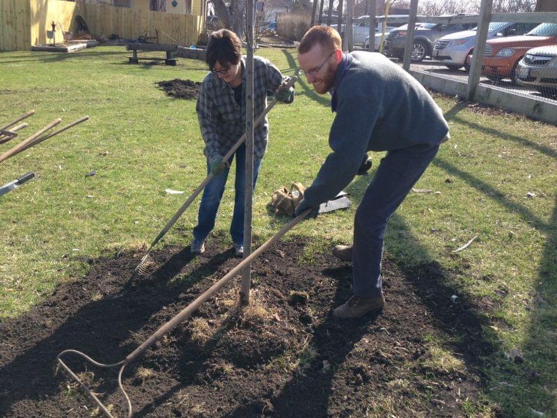Ann-Marie Stimphson and Wes Kocher of Champaign plant a tree on Saturday, April 5, 2014 in Gifford, Ill.