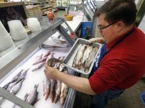 Kevin Dean, co-owner of Superior Fish Company, puts Whitefish out for sale in Royal Oak, Mich., Monday, April 14, 2014. Many fish markets in the Great Lakes region are running short of whitefish, and it’s coming at a bad time: Passover.