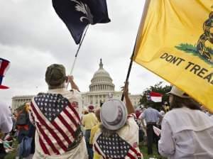 Tea Party activists rally in front of the U.S. Capitol in June 2013.