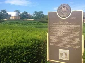 The Morrow Plots are the oldest experimental cornfield in the Western Hemisphere. 