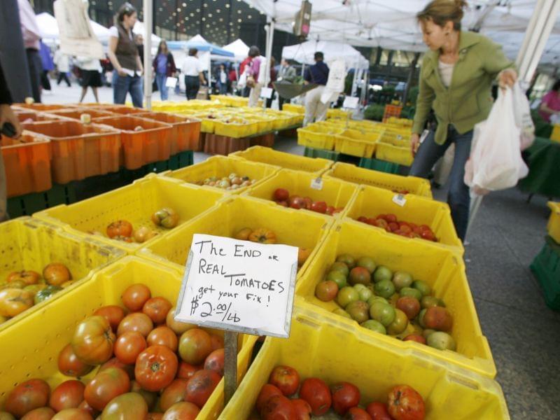 Shoppers pick through season-end tomatoes at the Chicago Farmers market in Federal Plaza Tuesday, Sept. 26, 2006, in Chicago. The market is open on Tuesdays through the end of October.