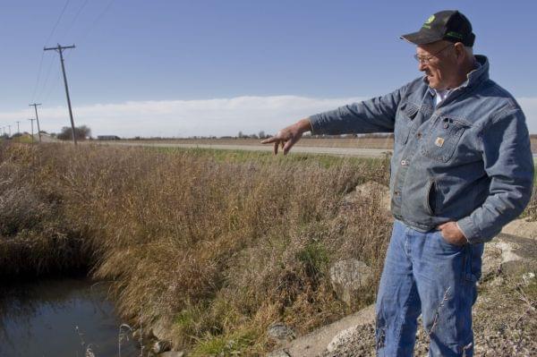 Farmer Lin Warfel stands on his farm in front of a drainage area