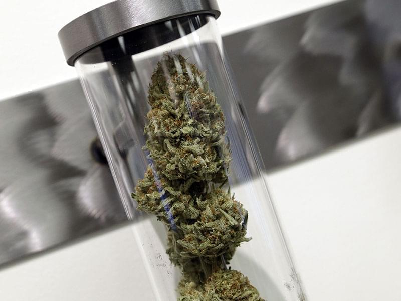 A sample of medical marijuana is displayed at a dispensary in Portland Oregon.