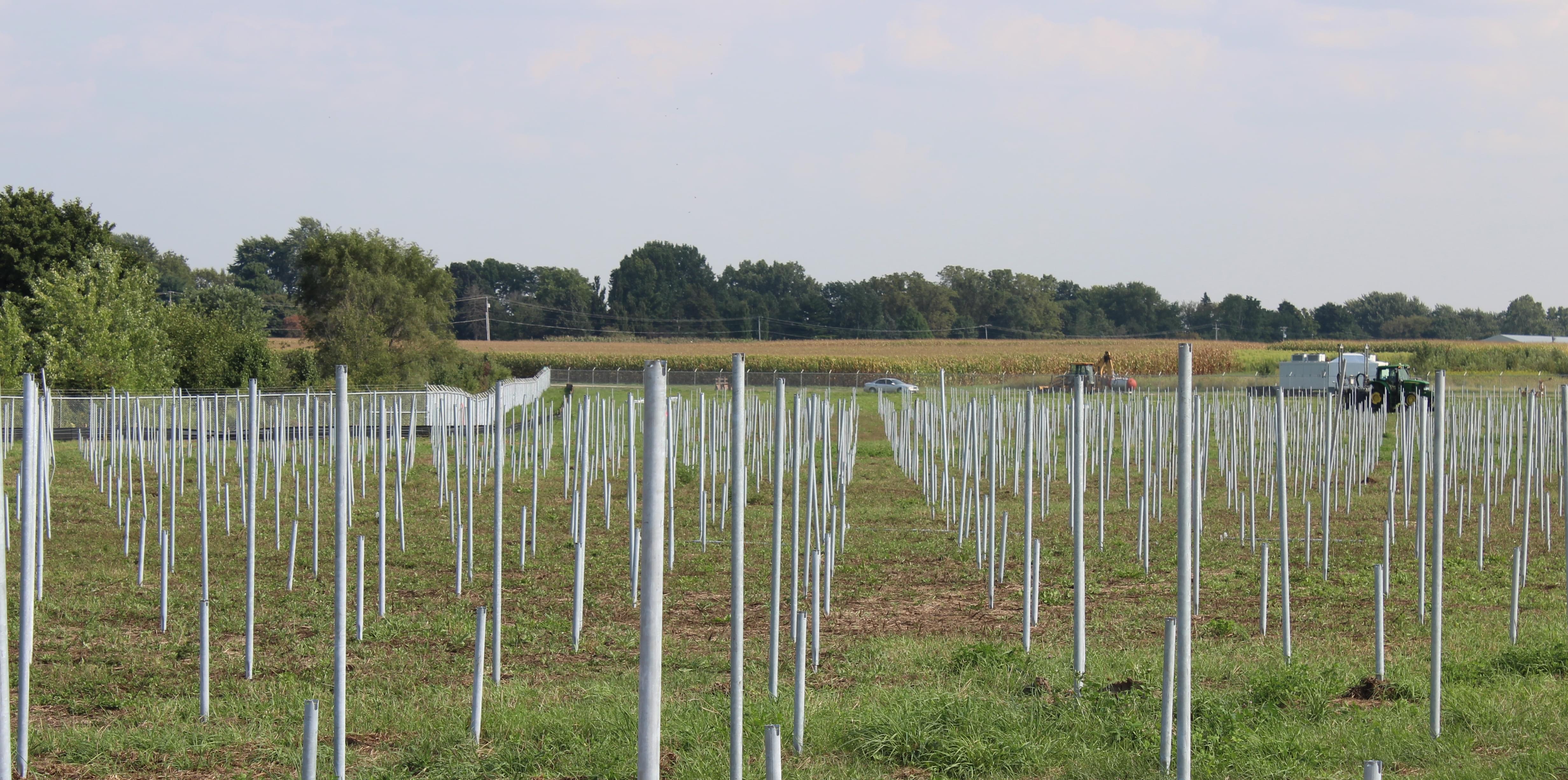 The site along Windsor Road on the University of Illinois Urbana campus, where a solar farm is under construction.