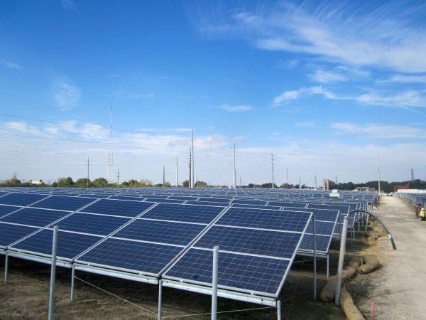 Solar panels at the new University of Illinois Solar Farm.