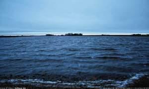 A flooded corn field along Route 130 near Villa Grove.