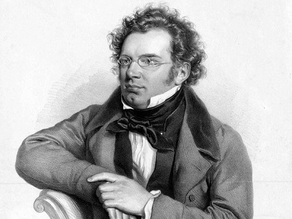 Portrait of Franz Schubert.