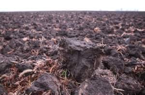 Close-up of Tilled Soil