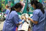 dentist