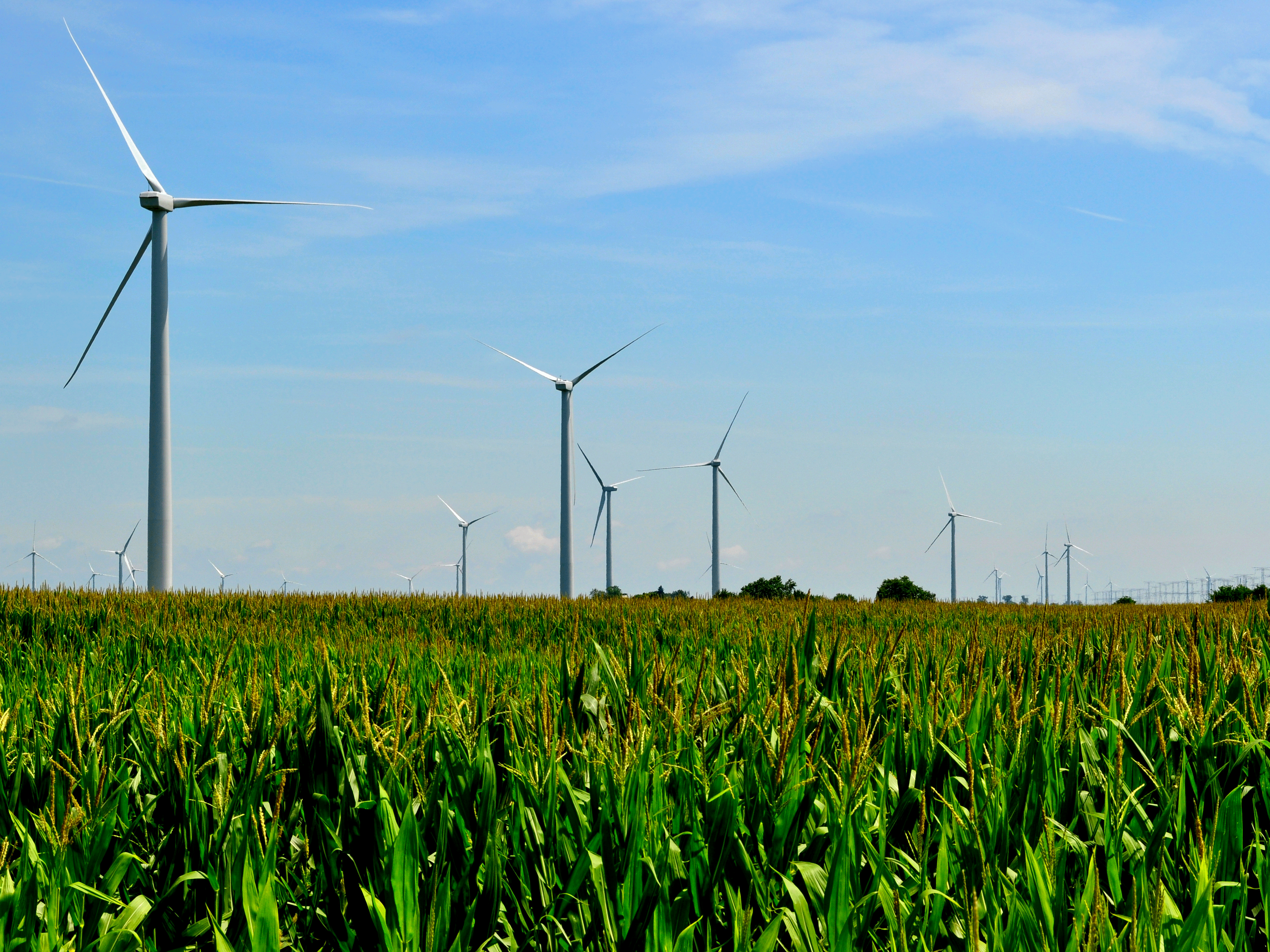Wind Farm In Northern Illinois
